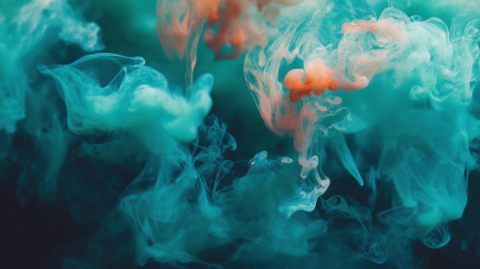 The BDS Score: How We Rate Every Wellness Provider in America — Methodology