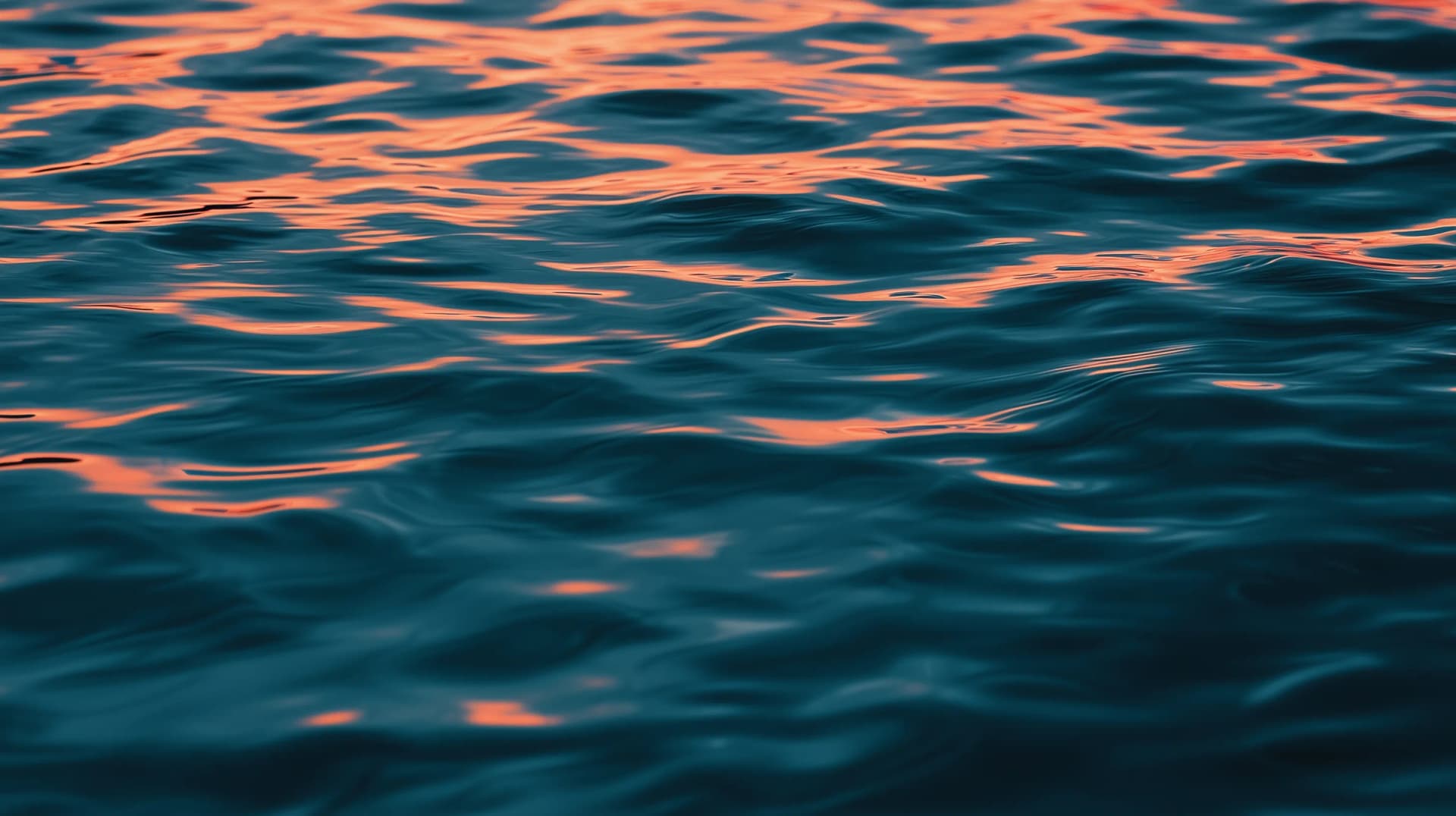 Herbalism in 2026: How to Find a Qualified Clinical Herbalist — How-To Guide