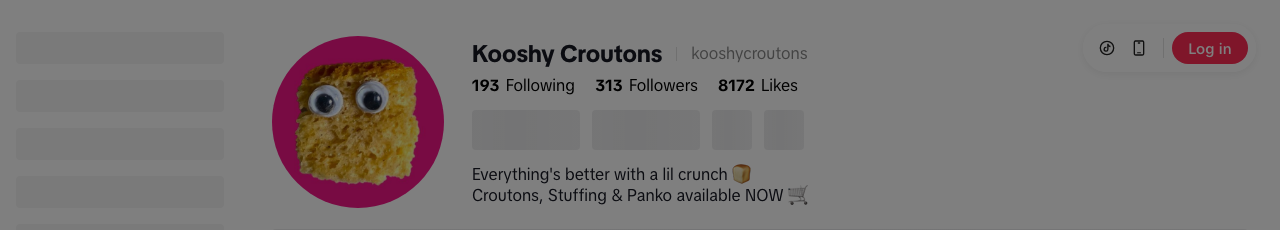 TikTok profile header for Kooshy Croutons: 313 followers, 8,172 likes