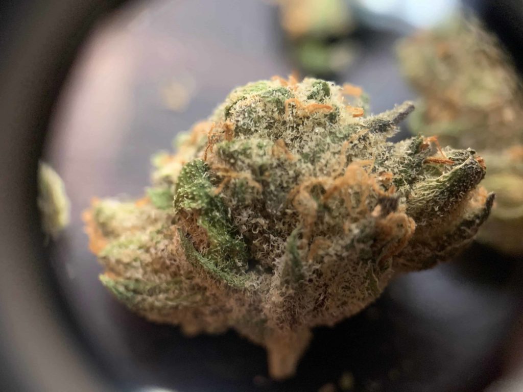 Lume Cannabis - Cookies & Milk - 1G Flower