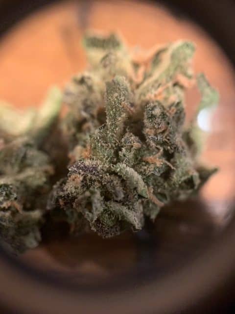Lume Cannabis - Durban Poison x Cindy 99 - 1G Flower